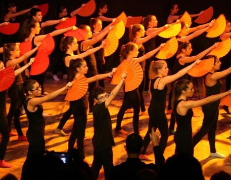 Anar a 