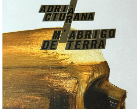 Imatge de l'exposició