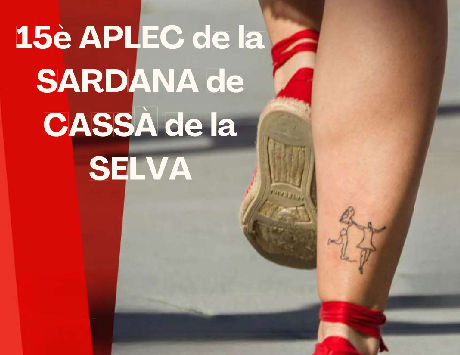 Anar a 