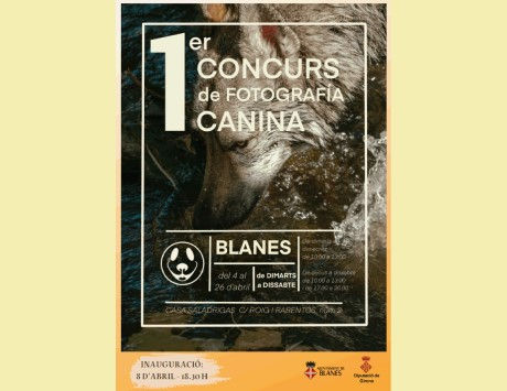 Anar a 