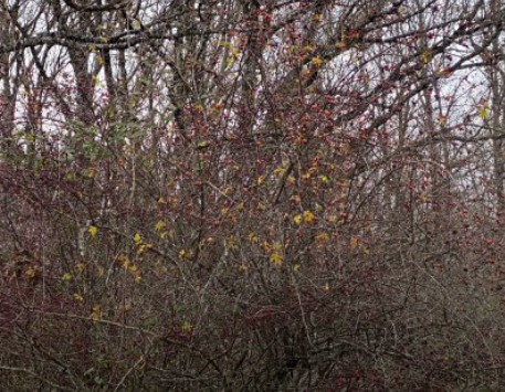 Paula García-Masedo, 03/12/2024. Cortesia de l'artista