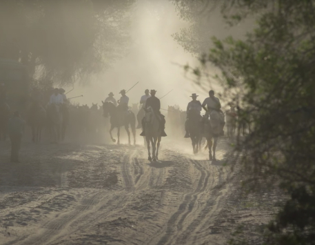 Imatge de l'exposició