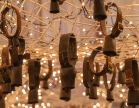 Exposició "Esquellòrium"