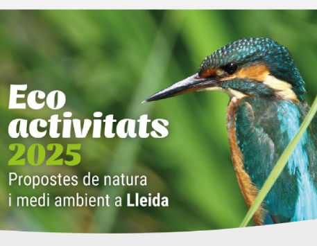ECOACTIVITAT. Biodiversitat. Anellament d'ocells al Parc de la Mitjana