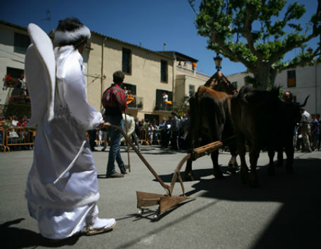 Anar a 