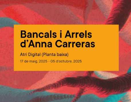 Anar a 