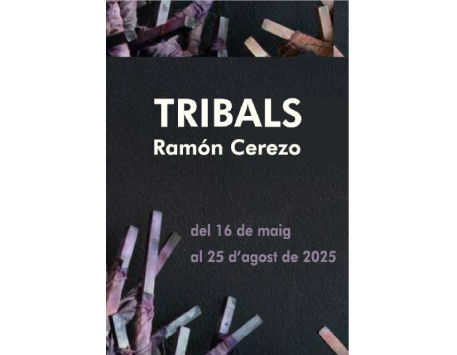 Anar a 