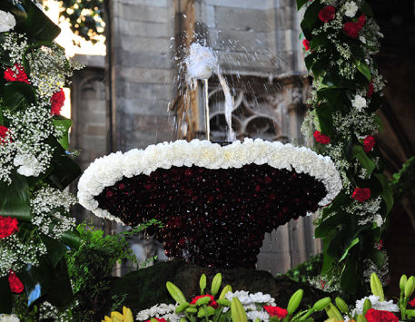 Anar a 
