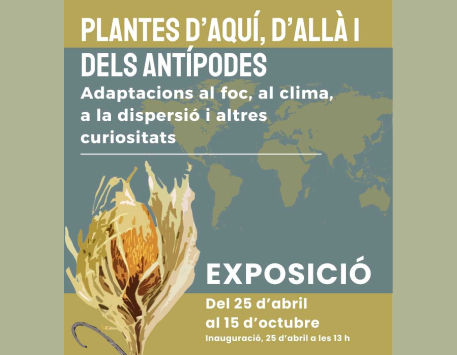 Exposició " Plantes d'aquí, d'allà i dels antípodes"