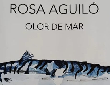 Anar a 
