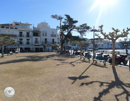 Anar a 