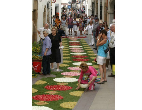 Anar a 