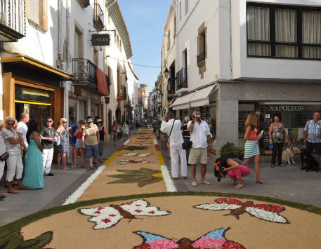 Anar a 