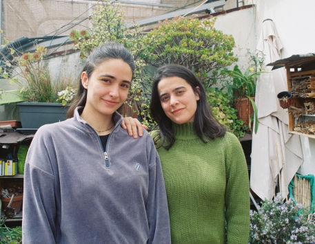 Anar a 