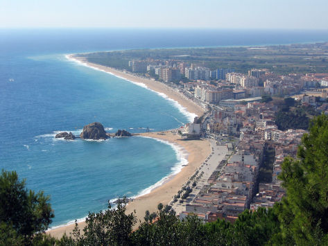 Anar a 