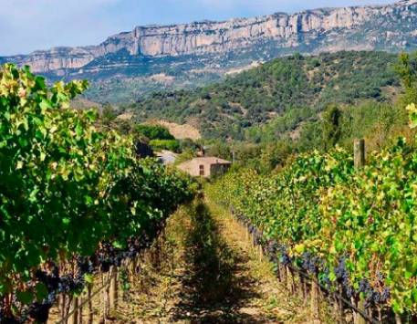 Anar a Música Priorat