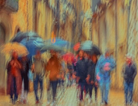 Anar a Font: web dels Amics del Museu d'Art de Girona