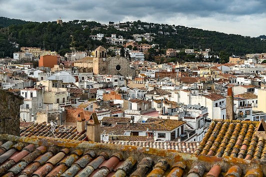 Anar a Font: Viquipèdia
