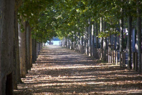 Anar a Passeig Dalmau que porta a l'Estany de Banyoles. Font: guiabanyoles.com