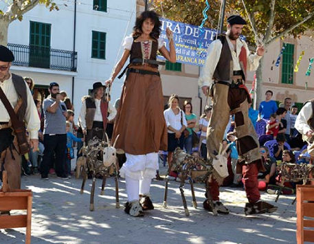 Anar a Transhumància