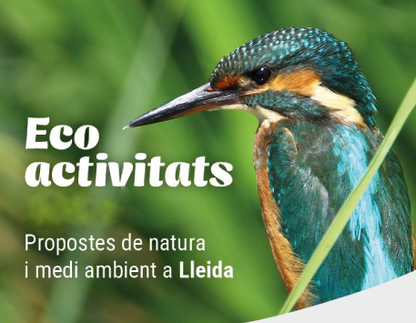 Anellament d'ocells. Font: Ajuntament de Lleida