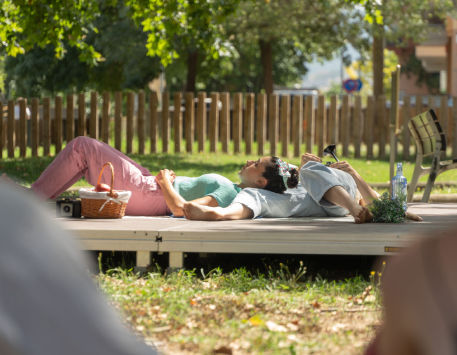 Anar a 'Picnic on the Moon'