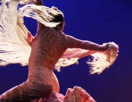 Anar a Gran Gala Flamenc