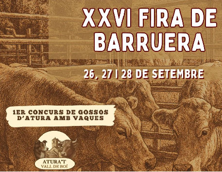 Anar a Cartell de la Fira de Barruera.  Font: Ajuntament de la Vall de Boí