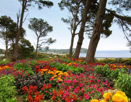 Anar a Jardins de Cap Roig. Font: agenda.obrasocial.lacaixa.es