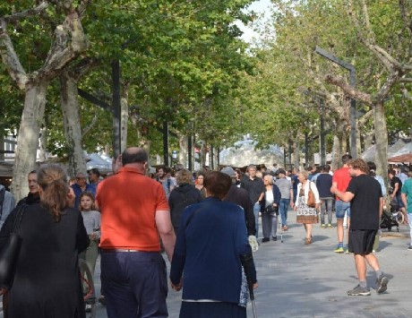 Anar a Font: Ajuntament d'Olot