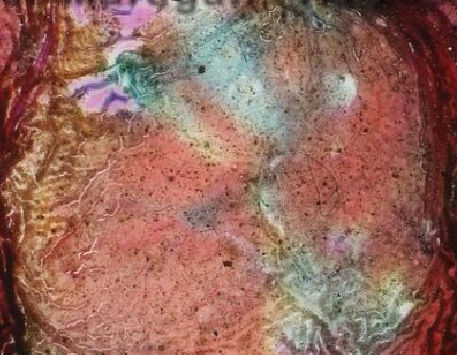 Anar a Fragment del cartell de l'exposició "Fotografies Godhandi". Font: Associació Res Non Verba