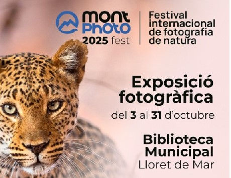 Anar a Cartell 2025. Font: Ajuntament de Lloret de Mar