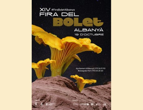Anar a Cartell 2025. Font: Ajuntament