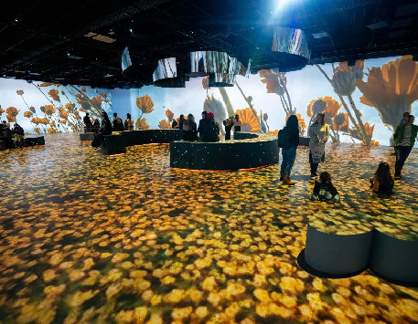 Anar a Exposició "Som Natura"