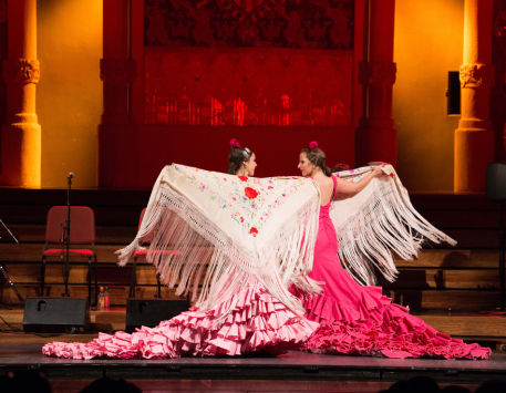 Anar a Espectacle 'Gran Gala Flamenco'