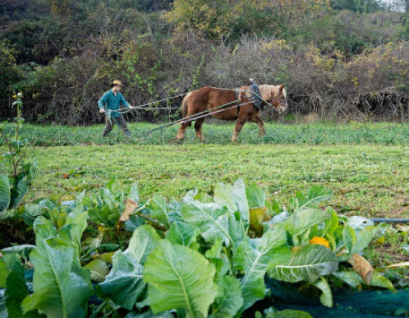 Exposició "Retrats d'una agricultura en transformació"