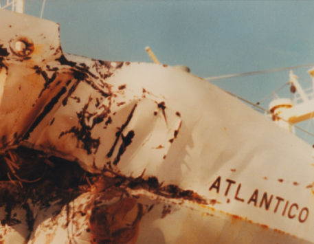 Exposició "Capsa núm. 23"