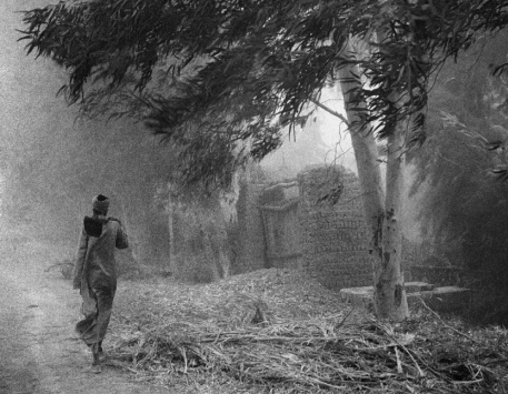 Exposició "Viatge a un món oblidat"