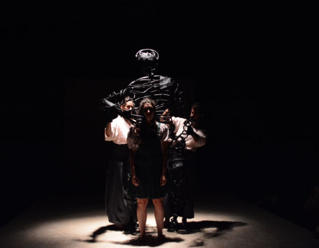 Anar a Espectacle 'Pruna', del Col·lectiu NINS