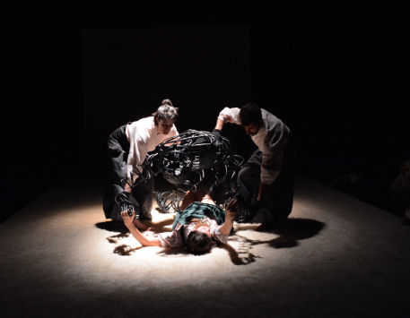 Anar a Espectacle 'Pruna', del Col·lectiu NINS