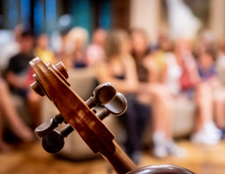 Anar a Visita guiada al Museu Pau Casals