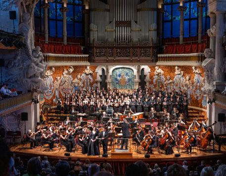 Anar a Espectacle 'La 9a de Beethoven'