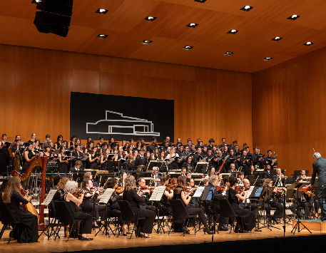 Anar a Espectacle 'La 9a de Beethoven'