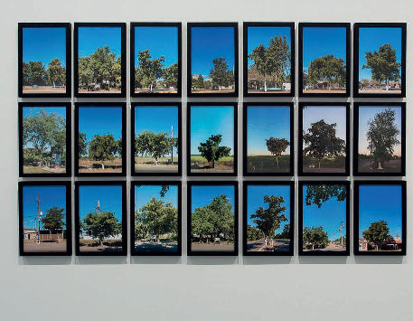 Anar a Exposició "I, DE SOBTE, L’ATZAR. Incerteses, destins i casualitats en la Col·lecció MACBA"