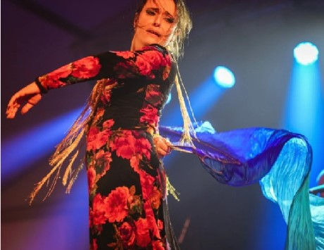 Anar a Font: Festival Carmen Amaya de Begur