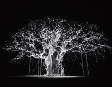 Anar a Imatge de l'exposició "Orígen". Font: Museu de Lleida