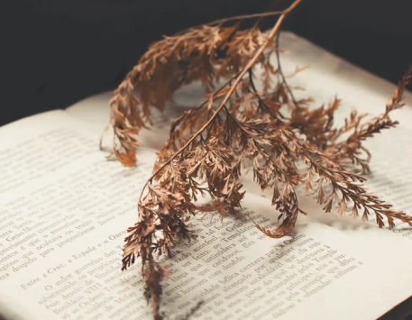 Anar a Fragment del cartell del Lectura i Transcripció de Documents. Font: Institut d'Estudis Ilerdencs