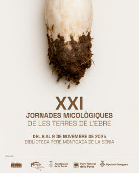 Anar a XXI Jornades Micològiques de les Terres de l'Ebre