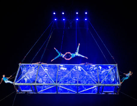 Anar a Espectacle 'EUFORIA'