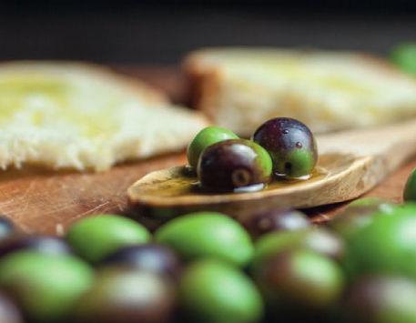 Anar a Festival de l'Oli · Vila-seca